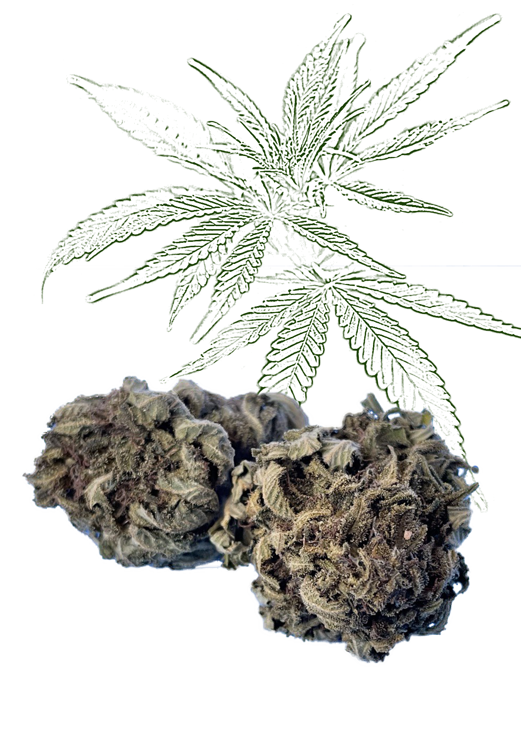 CBD Strawberry diesel 15 % květ